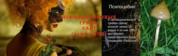 скорость Белокуриха