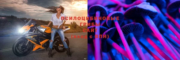 скорость Белокуриха