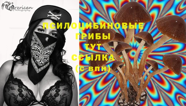 мет Балахна